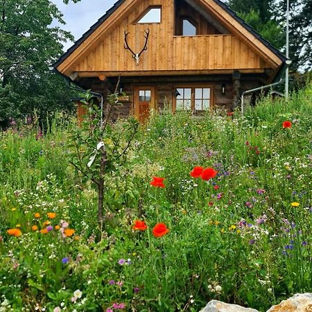 Willa Blockhaus Panhuette Braunlage Zewnętrze zdjęcie