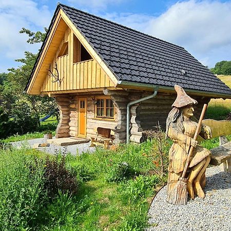 Willa Blockhaus Panhuette Braunlage Zewnętrze zdjęcie