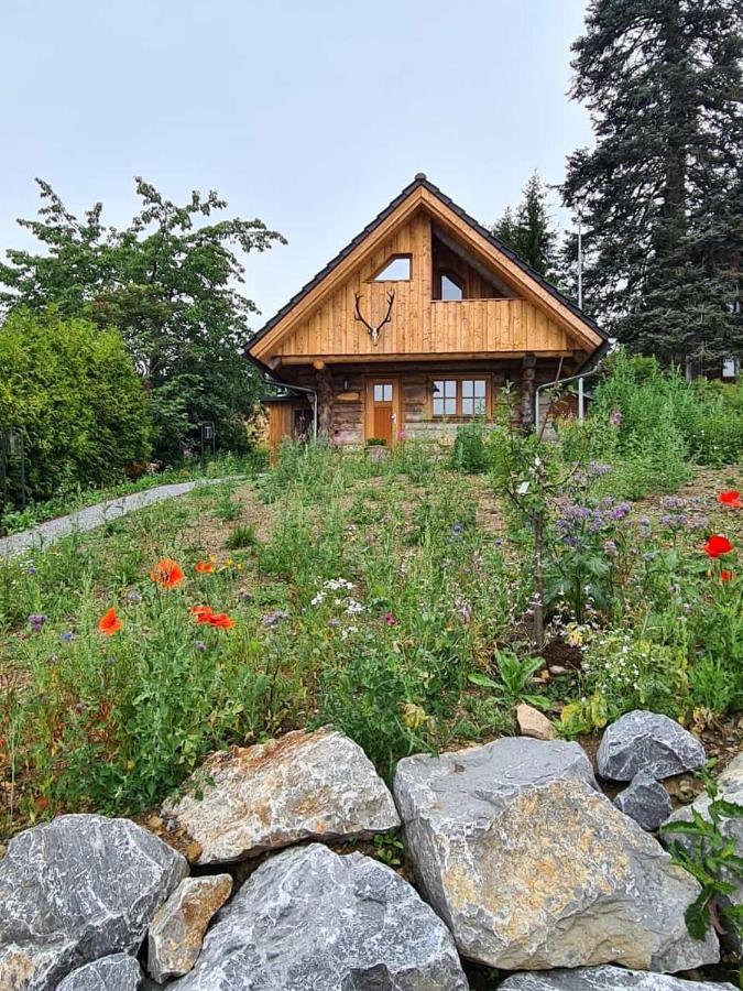 Willa Blockhaus Panhuette Braunlage Zewnętrze zdjęcie
