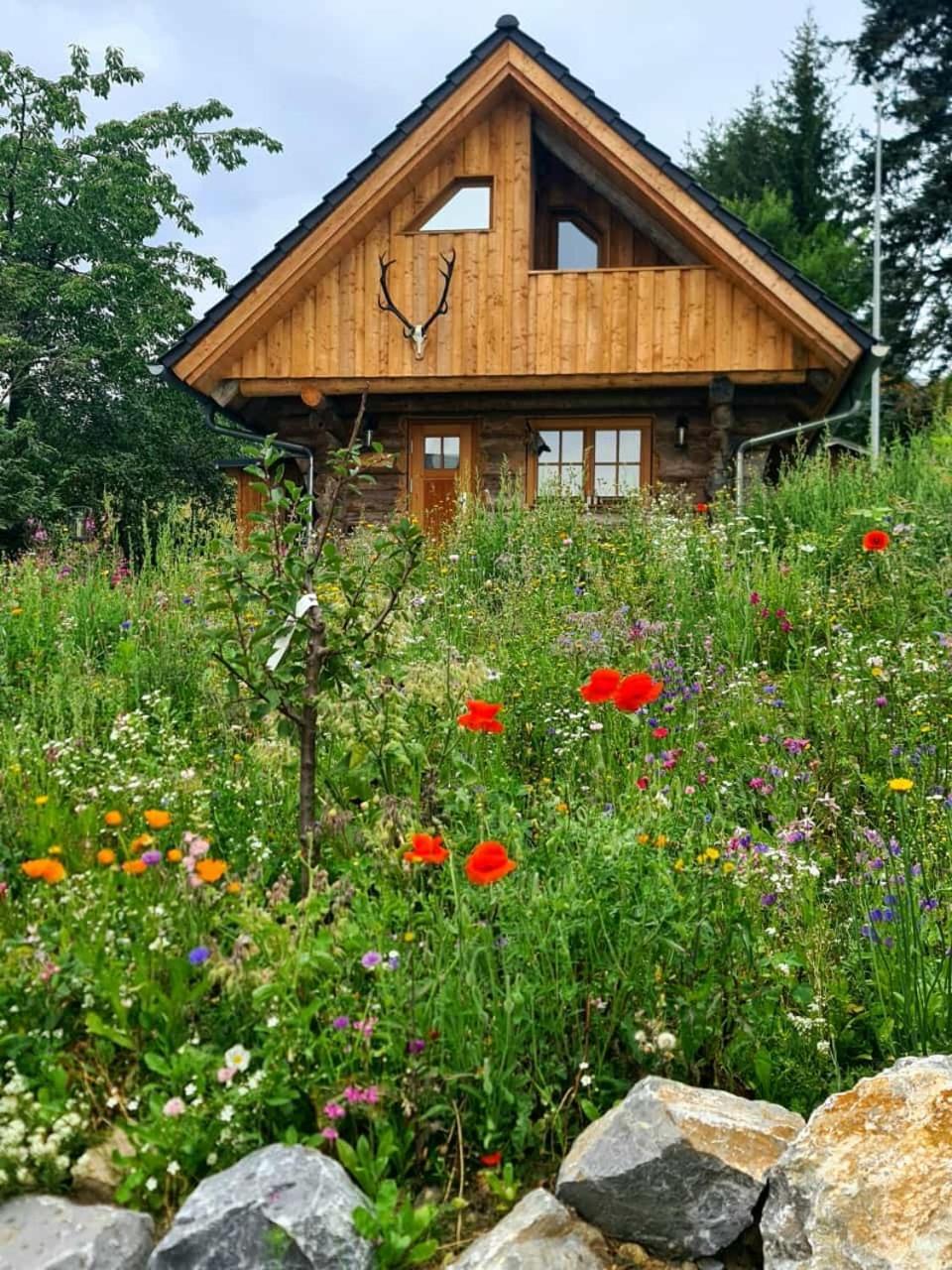 Willa Blockhaus Panhuette Braunlage Zewnętrze zdjęcie